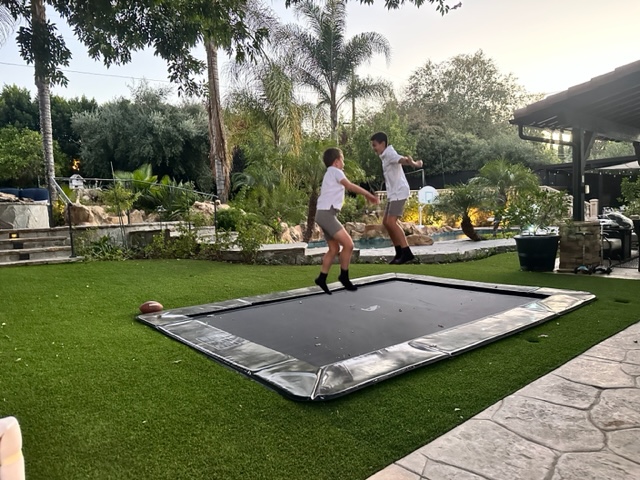 Two energetic boys leaping on a trampoline in a backyard, enjoying a sunny day filled with laughter.