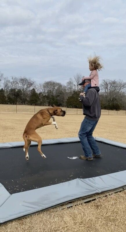 Trampolining Benefits for Older | Fun & Effective 2 What Older Adults Say About Trampolining